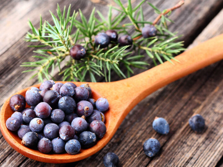 Juniper berries in a wooden spoon on a wooden background.