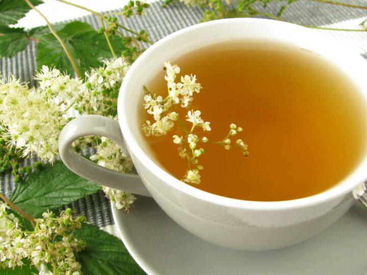 Picture of a cup of elderflower tea surrounded by fresh elderflowers.