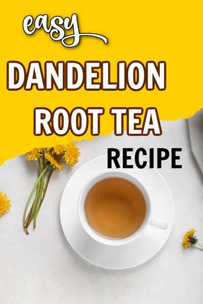 How to Make Dandelion Root Tea From Fresh Dandelion - Steeped Street