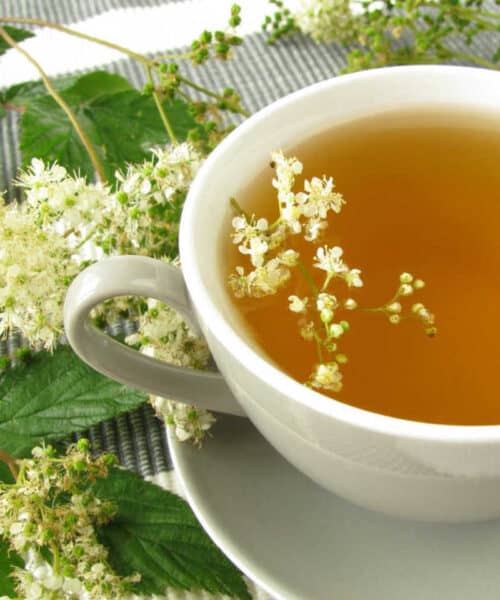 A white tea cup containing elderflower tea on a table surrounded by elderflowers.