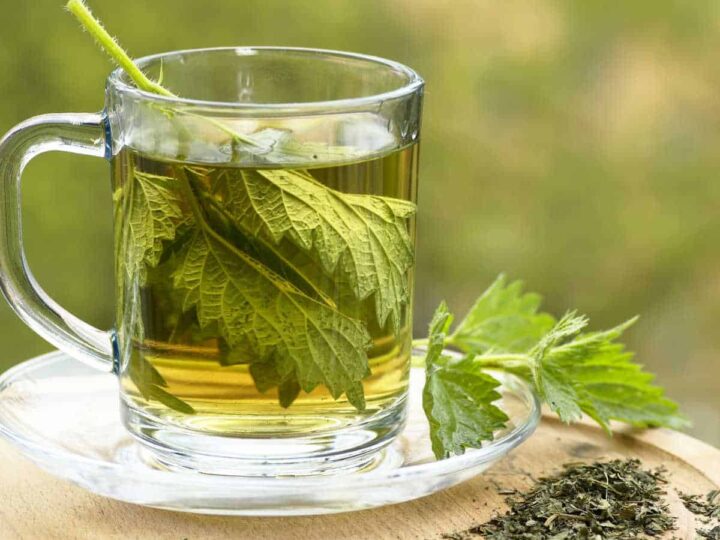 Nettle leaf tea in a clear mug with fresh and dried nettle.
