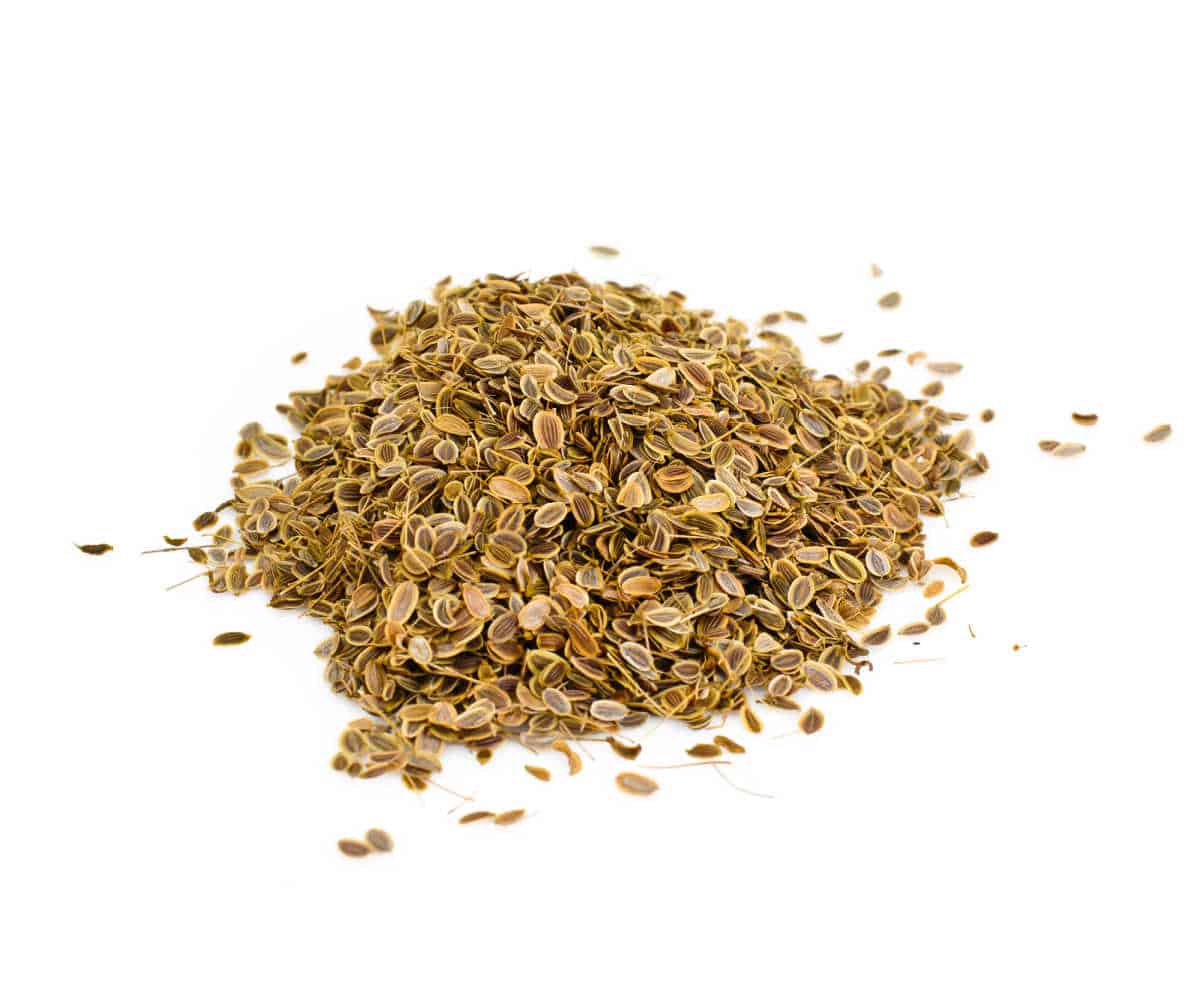 Fennel seeds on a white background.