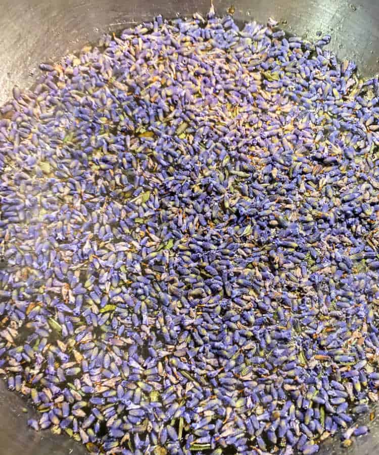 Lavender buds simmering in a pot of water.