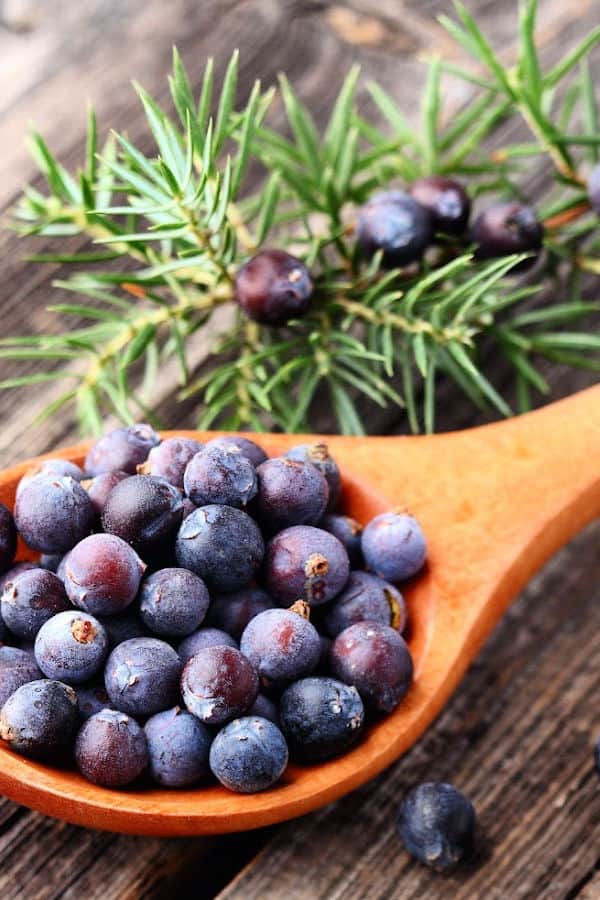 A wooden spoon full of fresh juniper berries on a wooden table.
