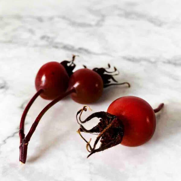 Rosehips on a white marble background.