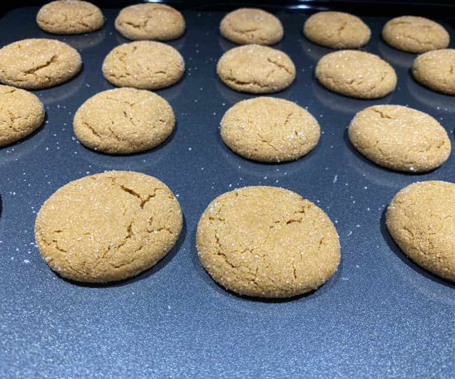 Ginger snap cookies on a baking tray just out of the oven.