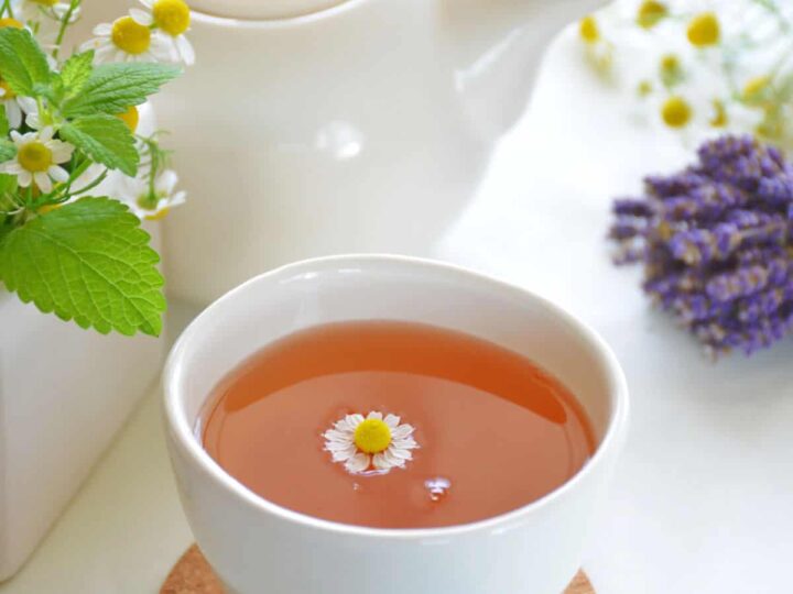 A white tea cup with chamomile tea and a chamomile flower and lavender near by.