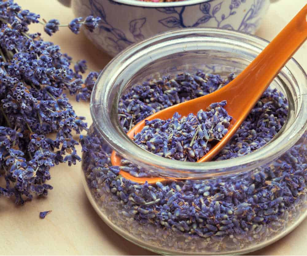 Dried lavender in a glass bowl with an orange spoon. Lavender flowers on the table near by.