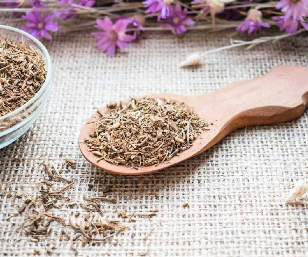 Dried valerian root in a wooden spoon on a burlap cloth.