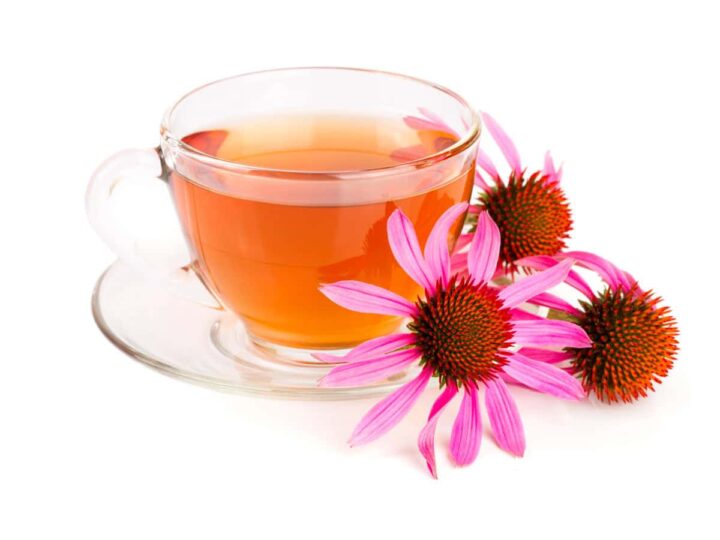 Echinacea tea in a glass tea cup and saucer with echinacea flowers.