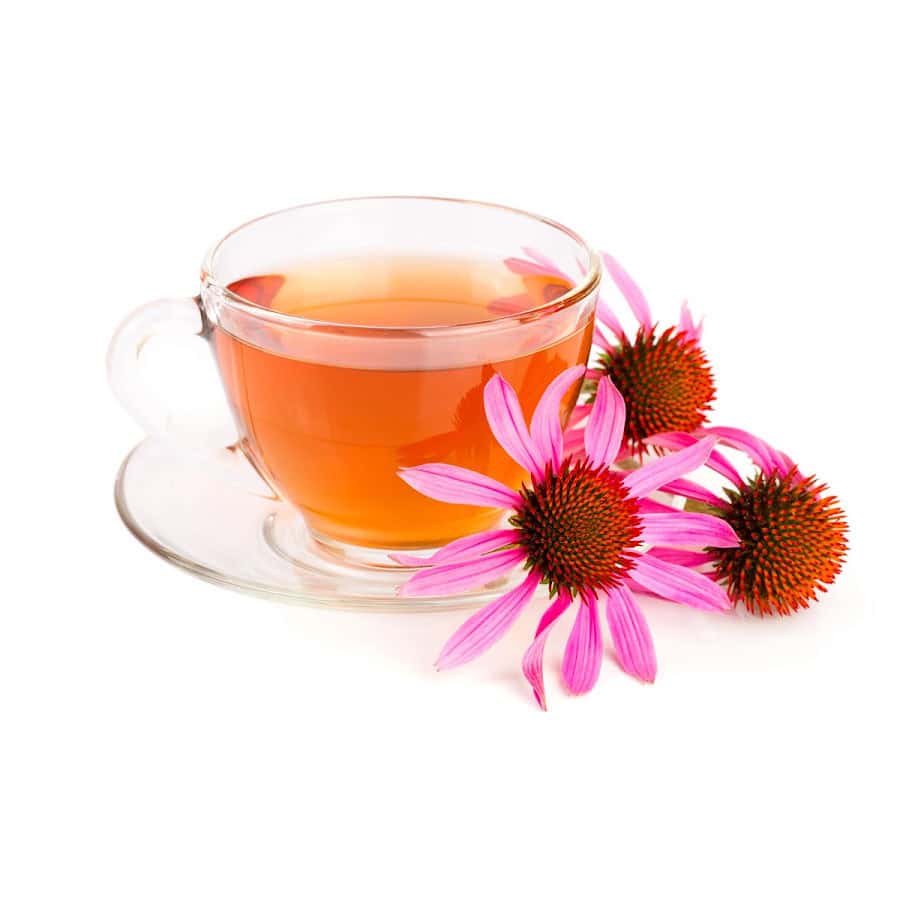 Echinacea tea in a glass tea cup and saucer with echinacea flowers.