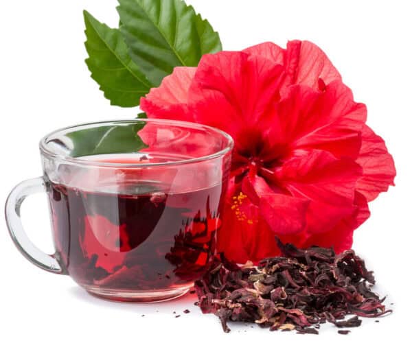 Hibiscus tea in a glass cup with dried hibiscus and an hibiscus flower.