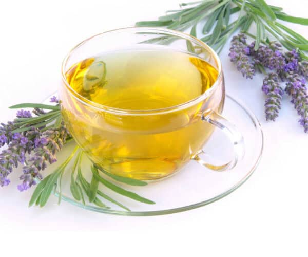Lavender Tea in a glass cup with lavender flowers on a white background.