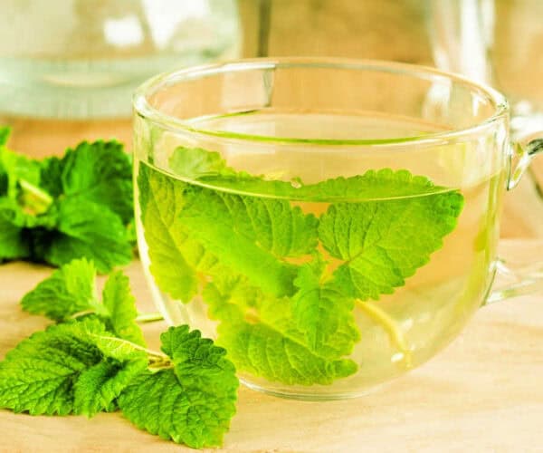 Lemon balm tea in a glass cup with lemon balm leaves.