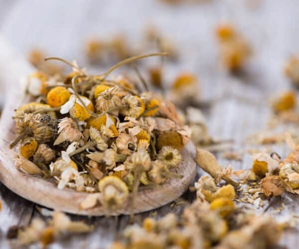 Dried chamomile on a wooden board.