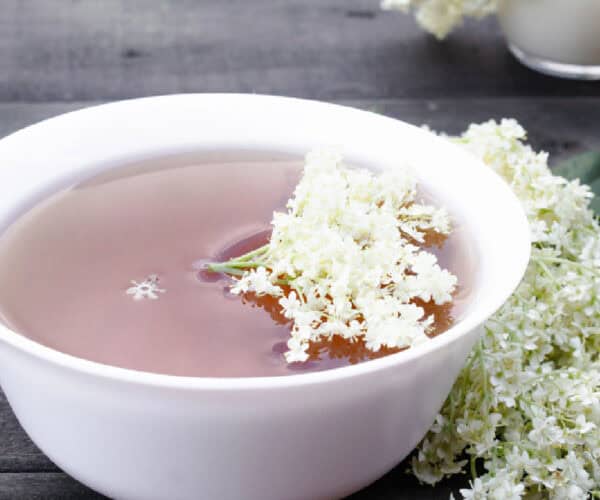 Elderflower tea in a white cup with elderflowers.