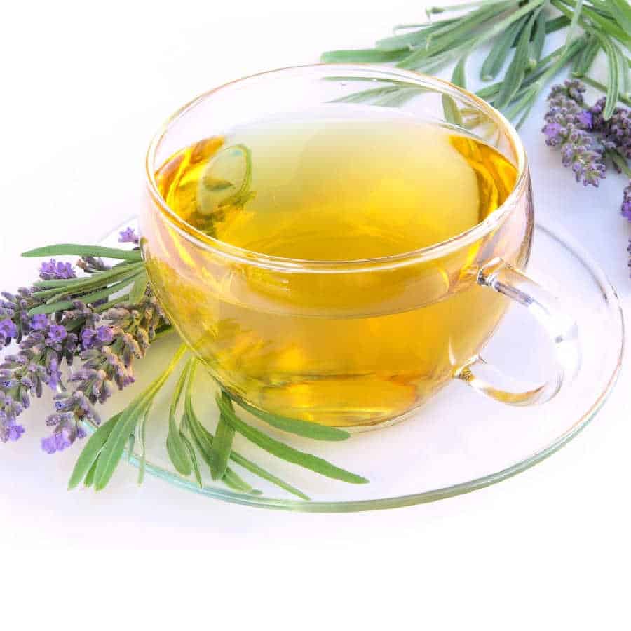 Lavender tea in a glass cup with sprigs of lavender on a white background.