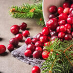 Fresh cranberries spilling out of a white bucket with pine boughs and pine cones.