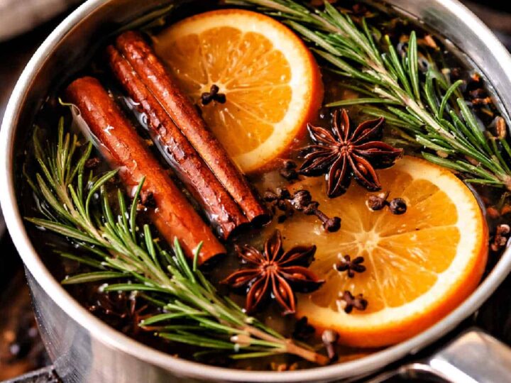 Orange slices, cinnamon sticks, rosemary, and star anise in a simmer pot.
