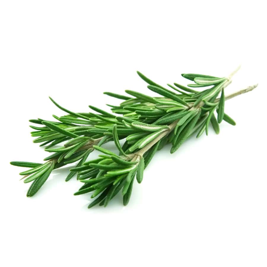 Fresh Rosemary.