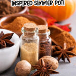 Fall spices and pumpkins on a table. The text reads pumpkin spice inspired simmer pot!