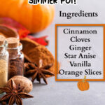 Fall spices and pumpkins on a table. The text reads pumpkin spice simmer pot! Ingredients Cinnamon, cloves, ginger, star anise, vanilla, and orange slices.