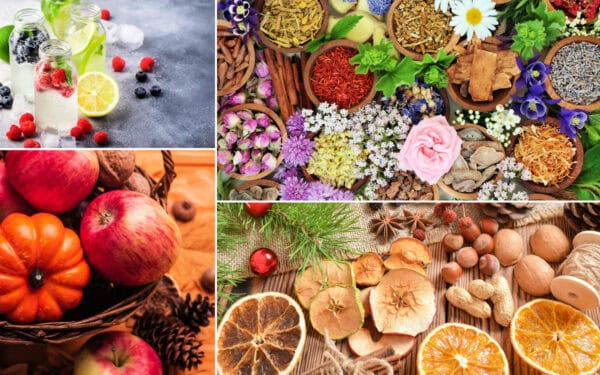 A collage of fruits, flowers, and cold drinks.