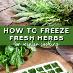 Top picture is fresh herbs on a wooden cutting board. Bottom picture is chopped herbs in an ice cube tray. The text reads how to freeze fresh herbs for winter cooking.