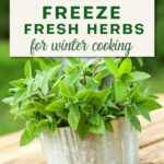 Herbs growing in a pot on a deck. The text reads how to freeze fresh herbs for winter cooking.