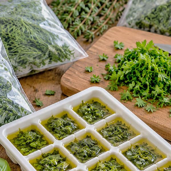 Chopped and whole herbs in bags and an ice cube tray on a wooden table.