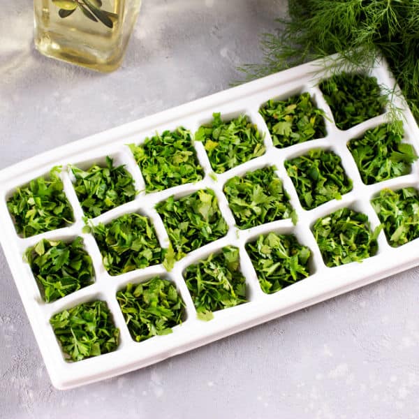 Chopped herbs in an ice cube tray.